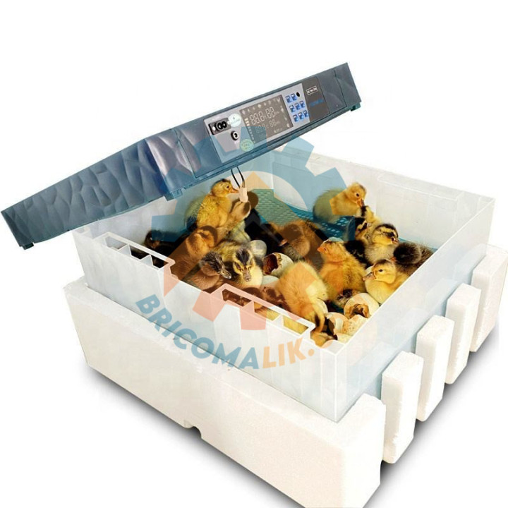 Couveuse automatique 130 œufs
