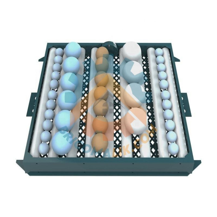 Couveuse automatique 130 œufs